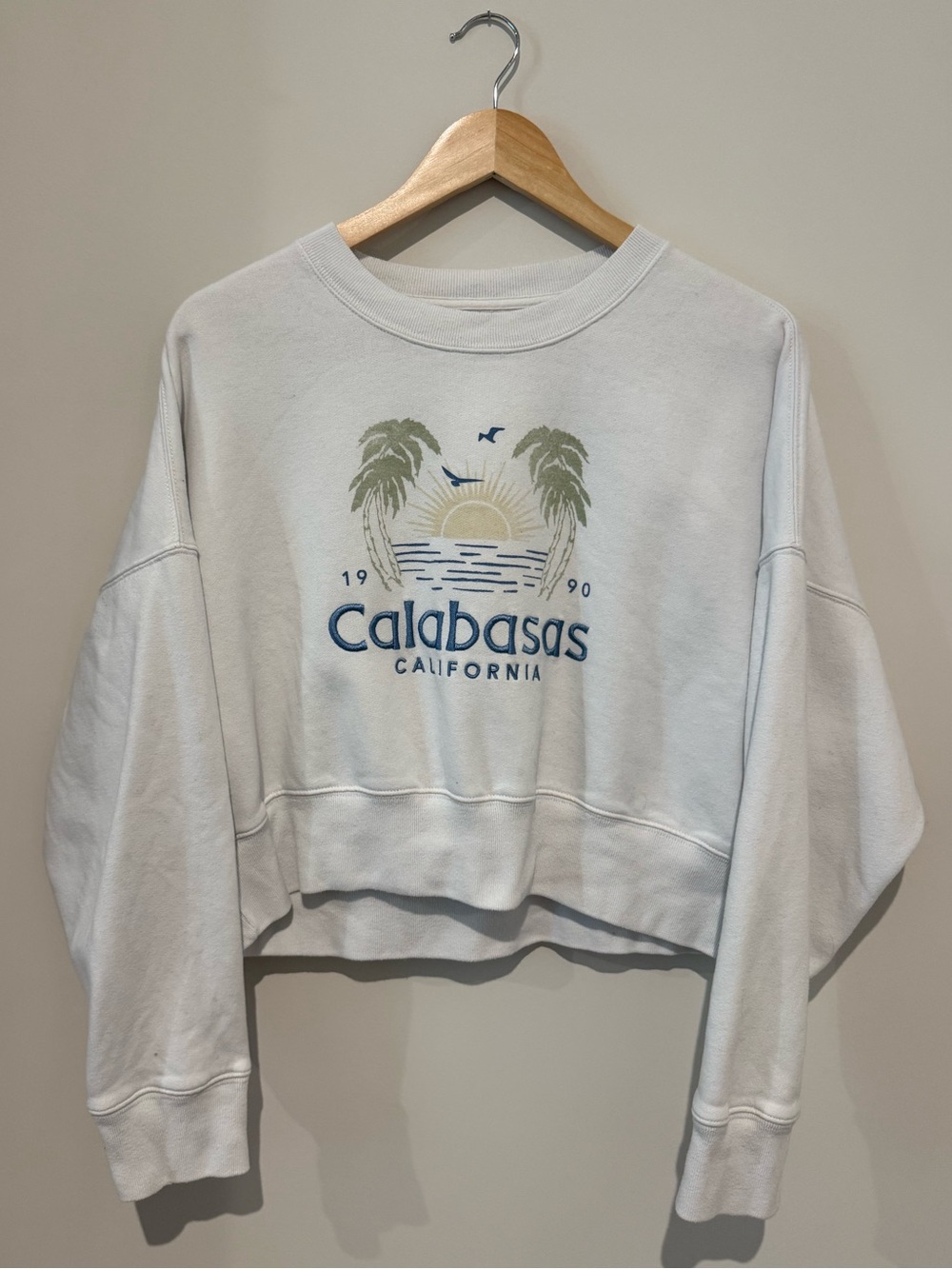 Abercrombie & Fitch Calabasas California White Graphic Cropped Sweatshirt M